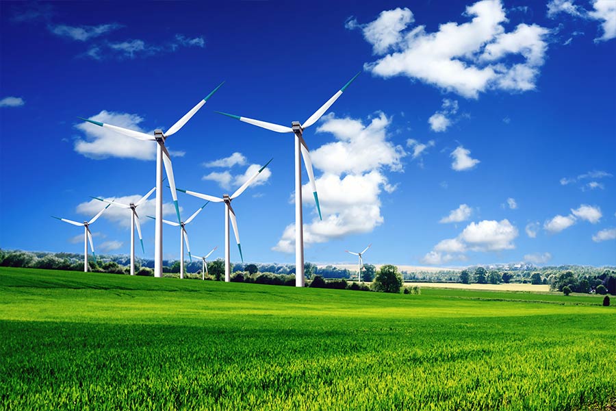 Budynki LPP będą zasilane zieloną energią