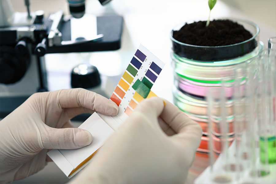 70 proc. odzieży LPP produkowanej w Bangladeszu i Pakistanie zgodne ze standardami zrównoważonego bezpieczeństwa chemicznego