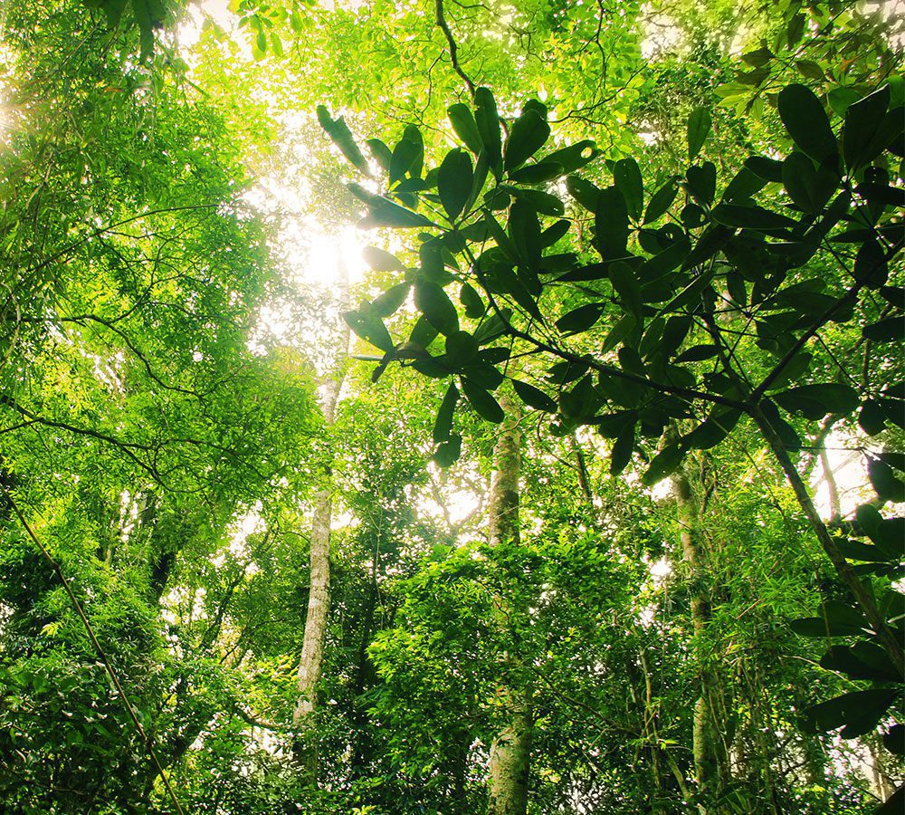 sustainable development